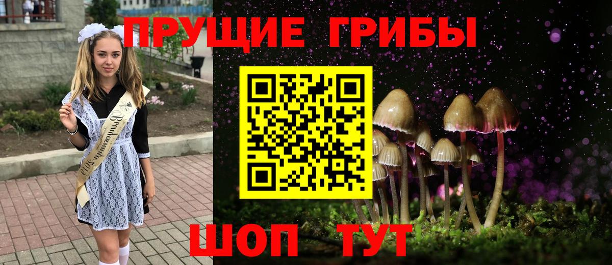 Галлюциногенные грибы прущие грибы Валуйки