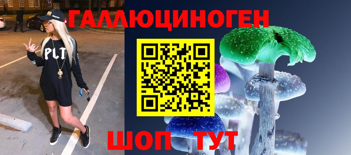 хочу   Вход с VPN  Валуйки  Псилоцибиновые грибы мухоморы 
